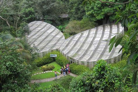  Quindío Botanical Garden:  A Lush Oasis of Colombian Flora and Fauna!